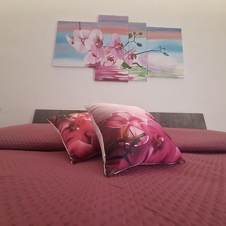 Grazia'S Home Сант'Аньєлло Екстер'єр фото